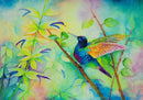 Iridescence-1