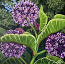 Suddenly I See (milkweed)-1