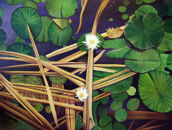 Reeds and Lily Pads