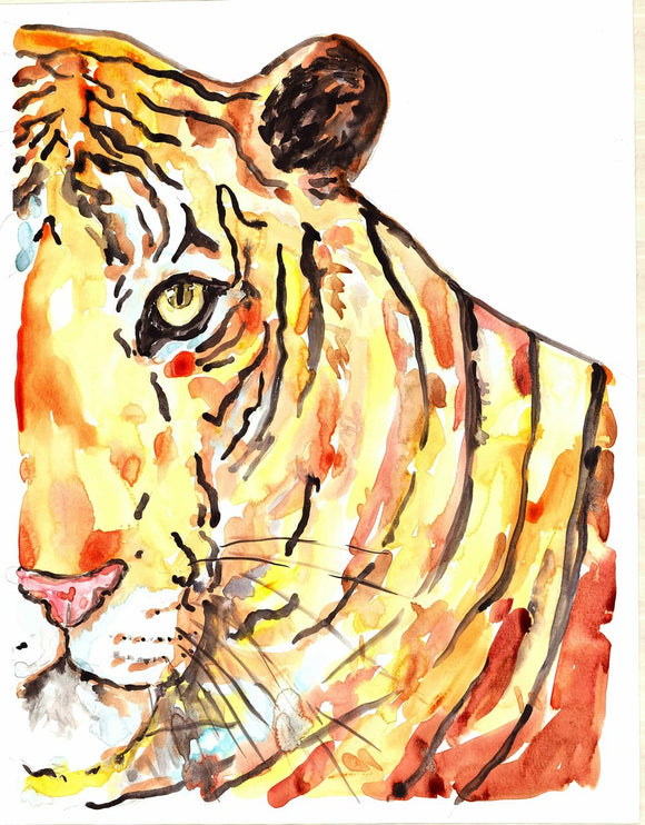 Tiger portrait