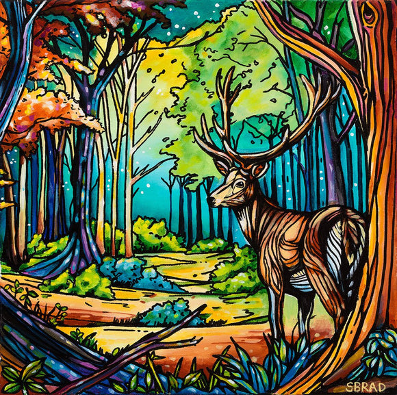 Forest Magic