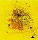 Magnificent Particles-1