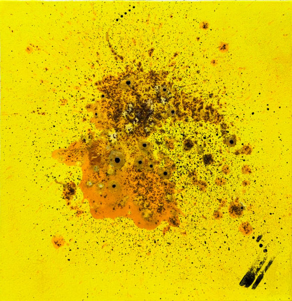 Magnificent Particles