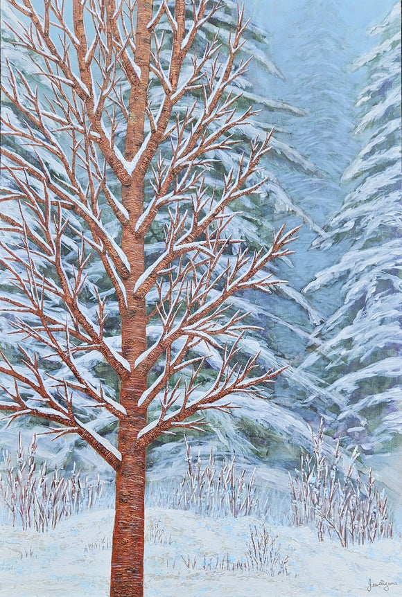 Dreaming of Hot Cocoa