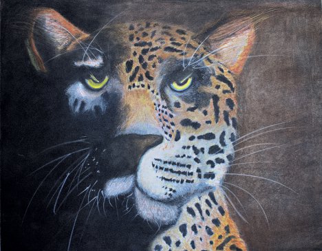 Chaz The Leopard