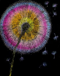 Make A Wish