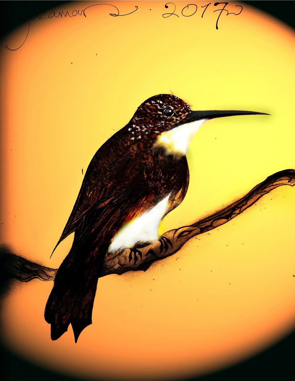 Jacamar | helloart