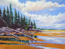 Driftwood cove-1