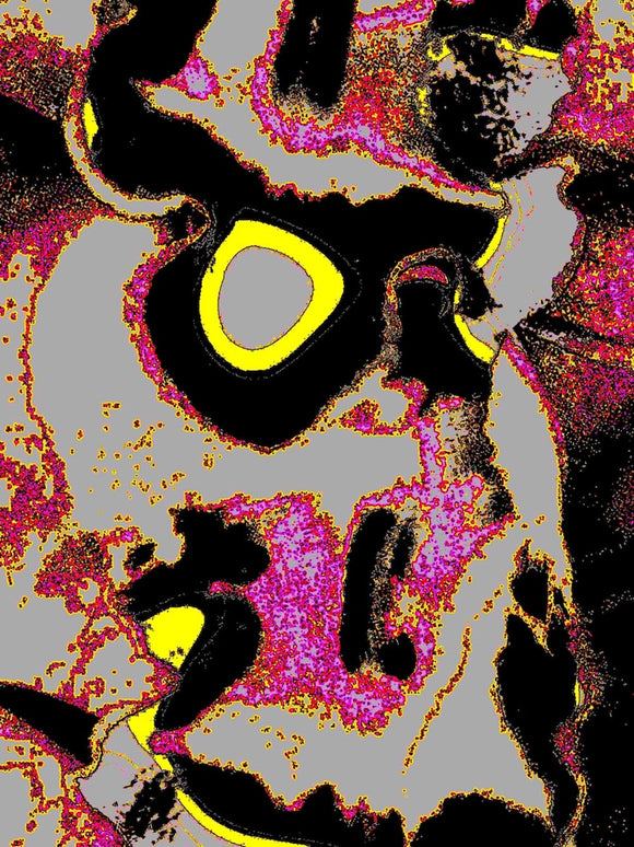 (Not) Red Orchid 23c2b