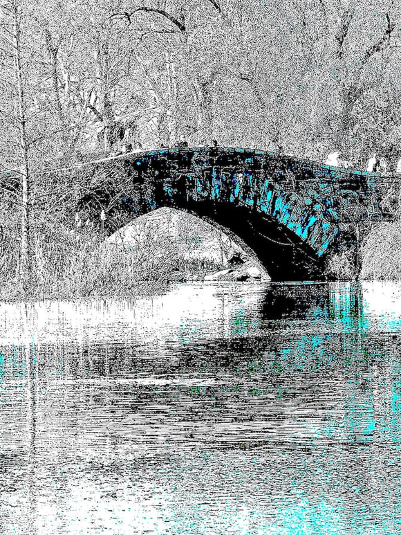 Bow Bridge Central Park Spring 1f8