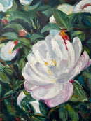 Camellia Dream II-1