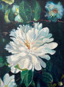 Camellia Dream I-1