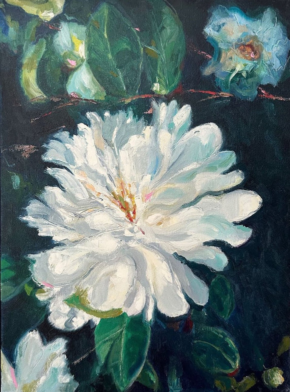 Camellia Dream I