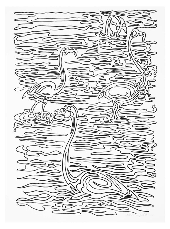 Grazing Flamingoes