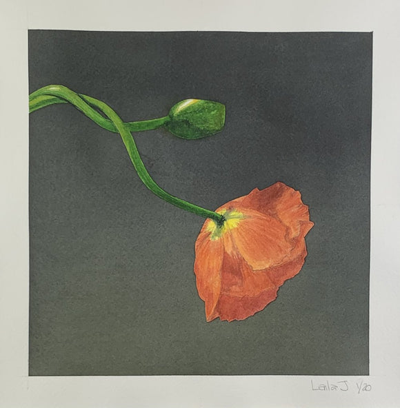 Flower 3, Omage a Mapplethorpe