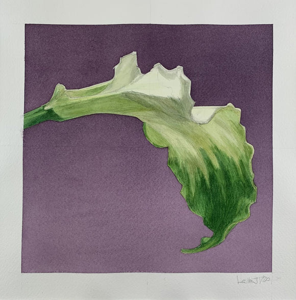 Flower 4, Omage a Mapplethorpe