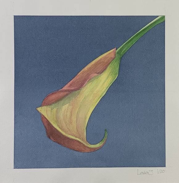 Flower 5, Omage a Mapplethorpe