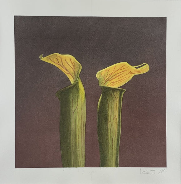 Flower 6, Omage a Mapplethorpe