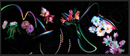 Photon Light Garden 1-1