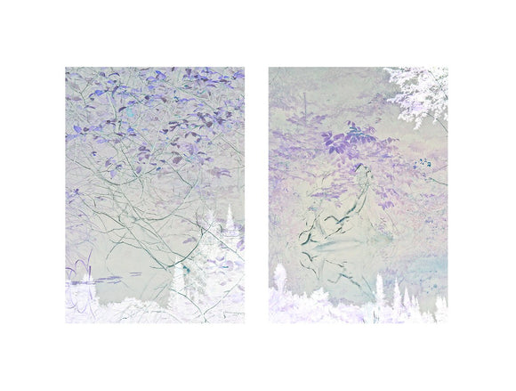 A Plea from the Earth (iii)