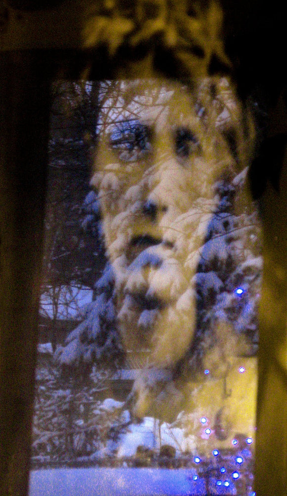 Ode to Julia Margaret Cameron (iv)