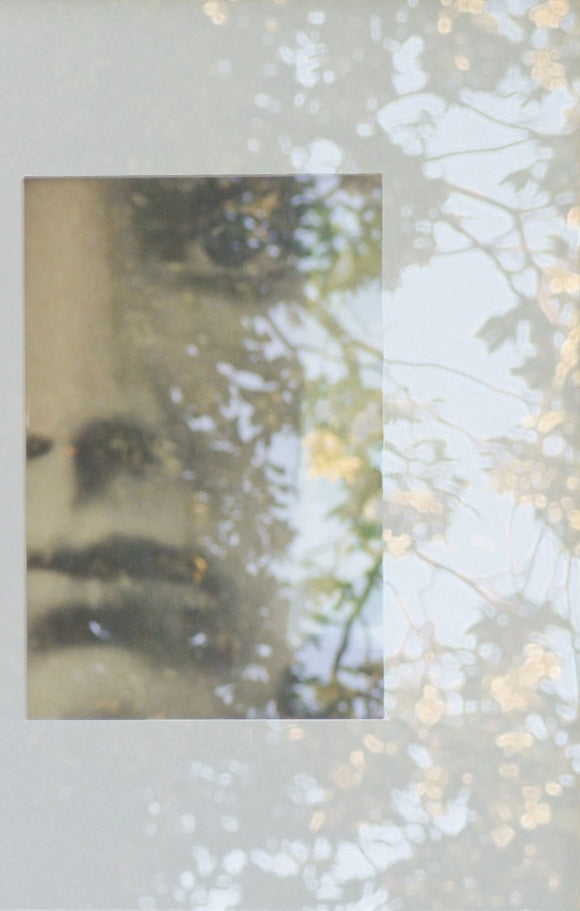 Ode to Julia Margaret Cameron (vi)