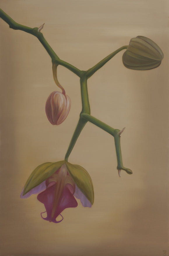 Silent Journey Number 14