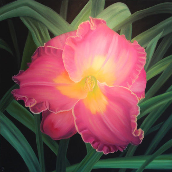 Pink Daylily