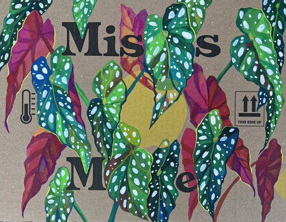 Polka dot: Miss me