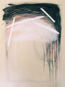 Shelter-1