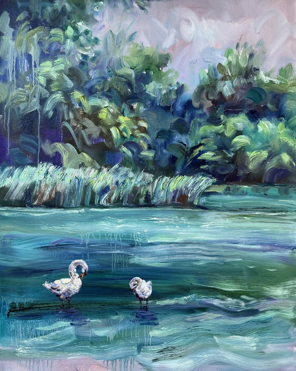 Swans at Prospect Park