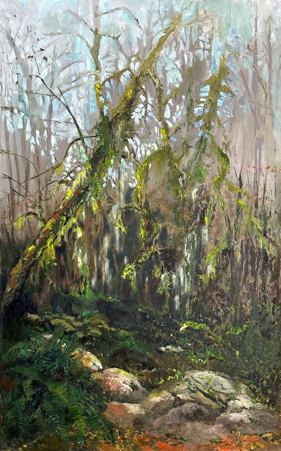 Into the Woods – Derby Reach