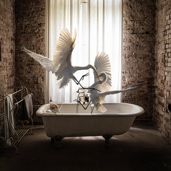 Lost #1