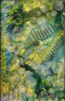 Bubbles and Echos-1