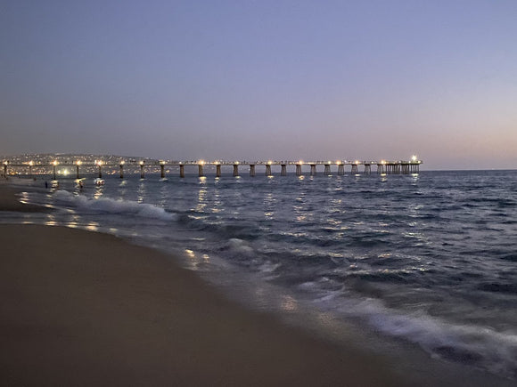 Ocean Carousel