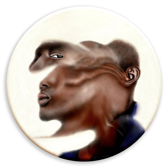 Study 1 (shape shifter)