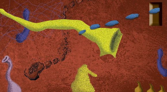 ANTHROPOMORPHIC LIFE