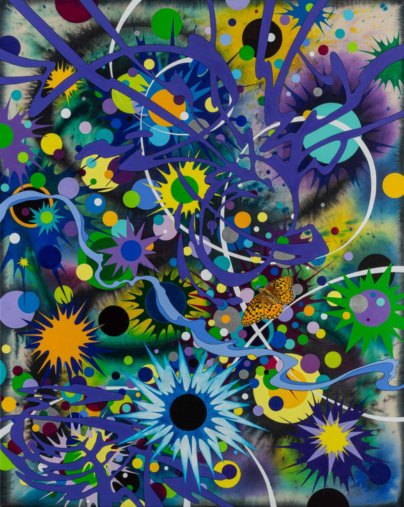 Stargazer, (Great Basin silverspot butterfly)