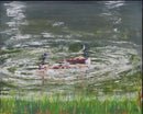 Swimming Geese-1