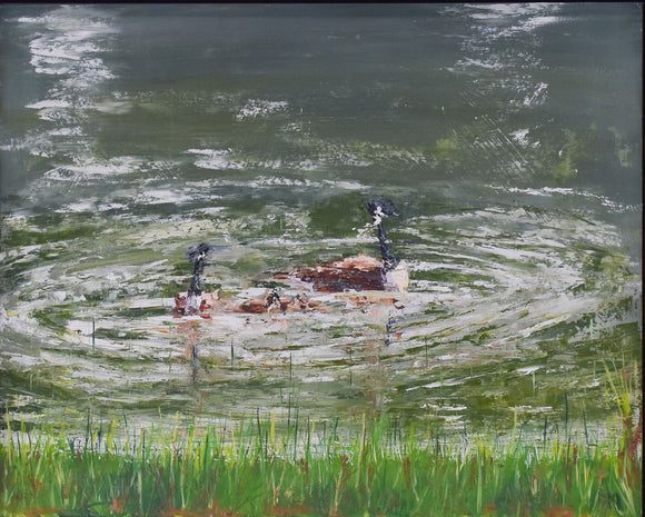Swimming Geese
