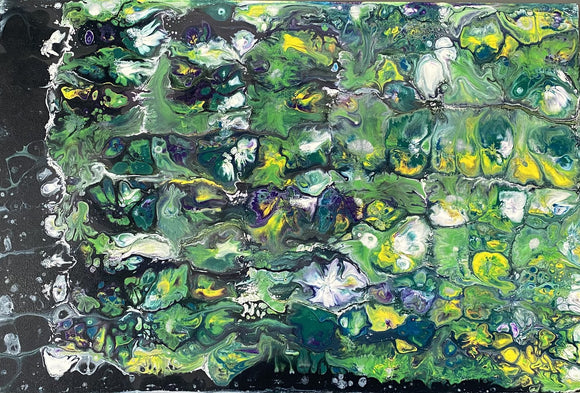 Lilly pads