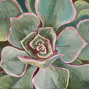 Summer Succulent-1