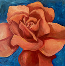 Orange Rose for Passion-1