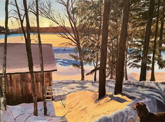 Winter at the cottage