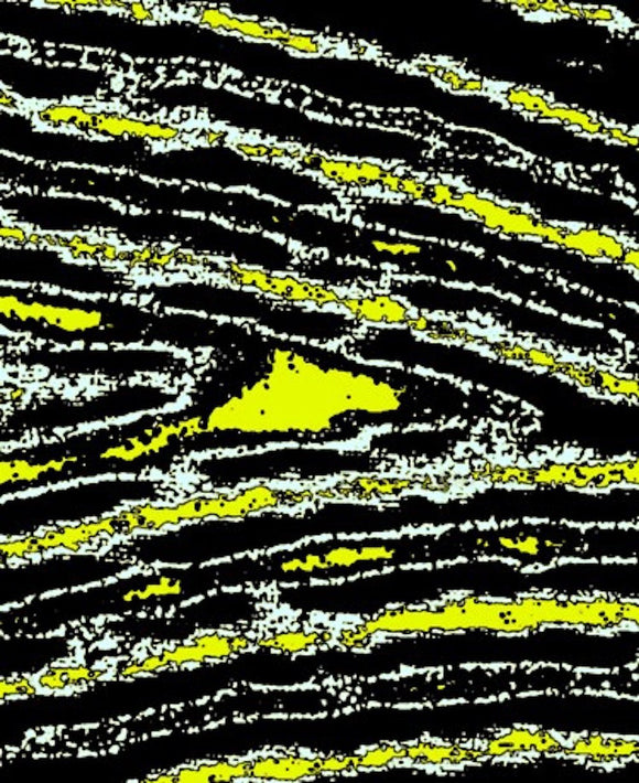 A Shark in a Swell in the Ocean on a Starry Night 100a7h