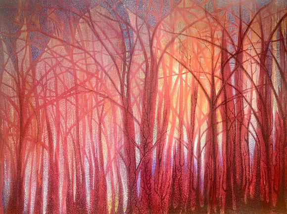 Light through the Curtain of night