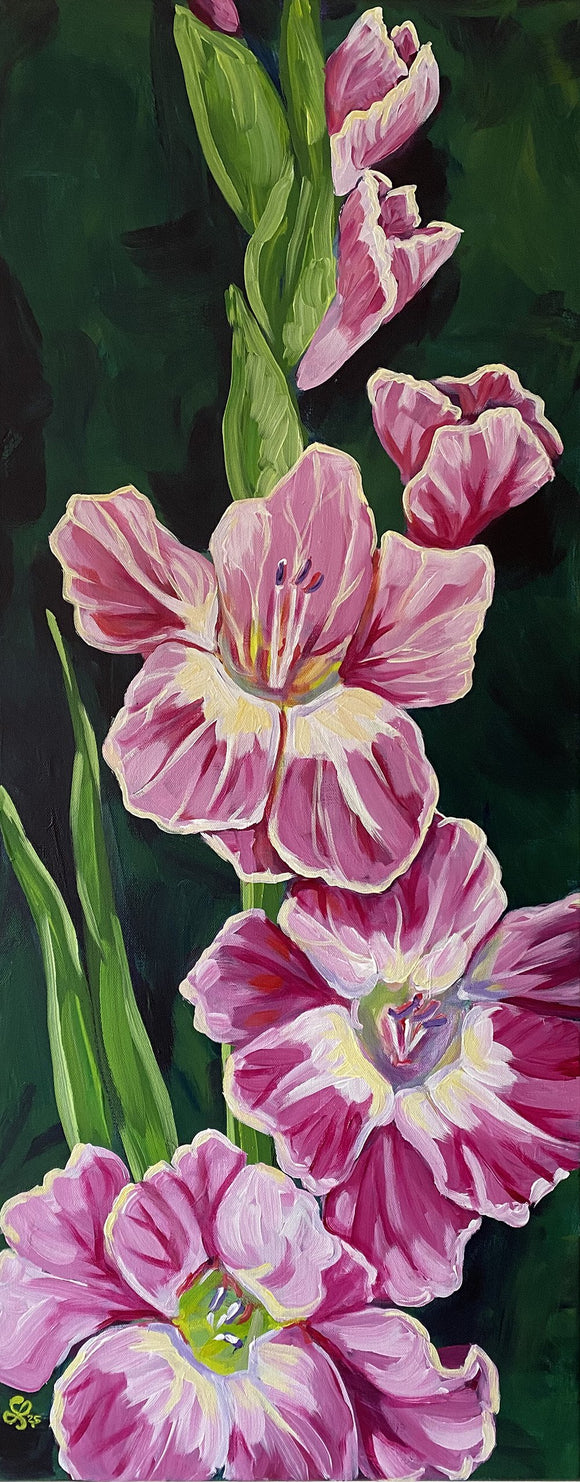 Glorious Gladiolas