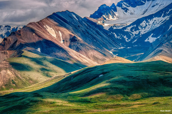 Along the Road to Kantishna, Denali National Park, Alaska
