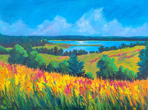 Where the meadow meets the lake