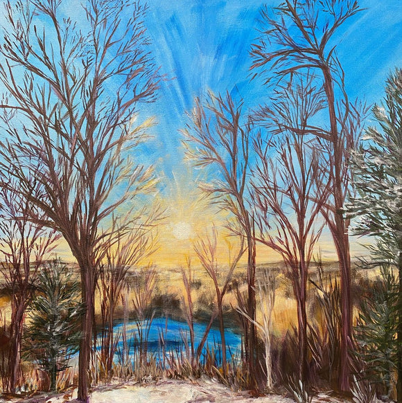 Glow Through the Woods